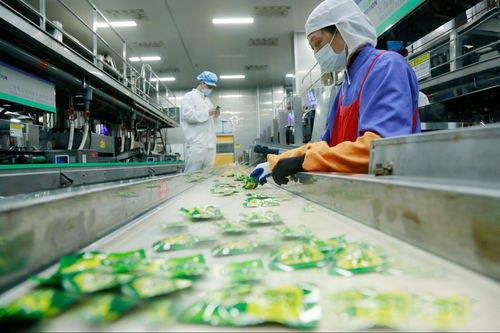 天门工业企业奋战新春“开门红” 一线见闻